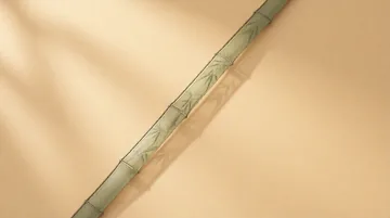 教育学研究人员 【知行合一·研思润心】（AI绘画完成）