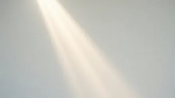 法学研究人员 【真理之光】（AI绘画完成）