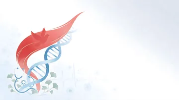 中医技师 红飘带双螺旋听诊器银杏