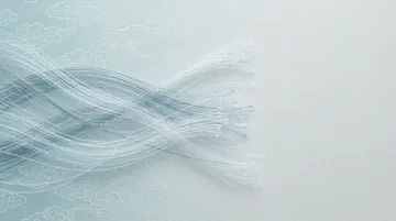 计算机网络工程技术人员 党建PPT背景图 【蜀锦云纹·初心底色】