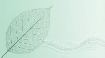 化学研究人员 党建PPT背景图 【绿色的回响】