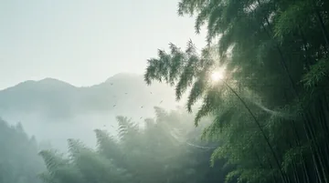 护林员 党建PPT背景图 【清风正气·林间巡护的精神底色】