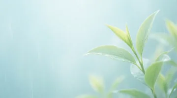 劳动保障协理员 党建PPT背景图 【春风化雨·润物无声】