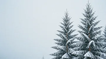 森林灭火员 党建PPT背景图 【雪松初雪微光】