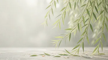 婴幼儿发展引导员 党建PPT背景图 【扎根基层·枝叶关情】