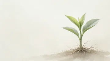 农业科学研究人员 党建PPT背景图 【春泥护花】